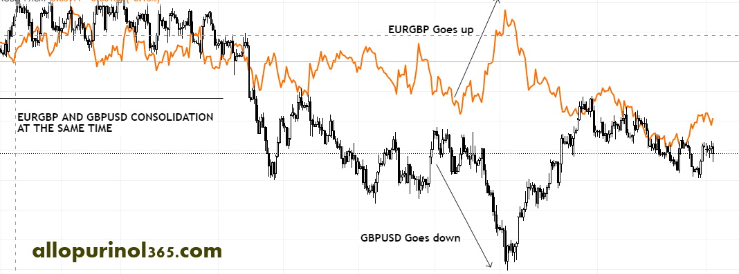 همبستگی های ارزی